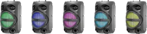 Defender - Sistem audio portabil Boomer 15