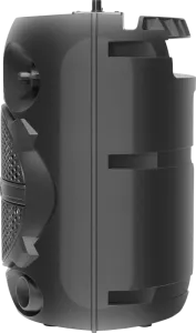Defender - Sistem audio portabil Boomer 15