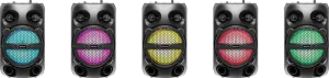 Defender - Sistem audio portabil Boomer 15