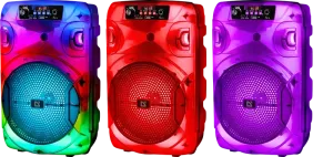 Defender - Sistem audio portabil Boomer 12