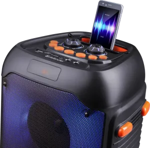 Defender - Sistem audio portabil Boomer 25