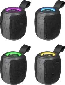 Defender - Sistem audio portabil Enjoy S550