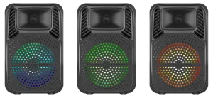 Defender - Sistem audio portabil Boomer 10