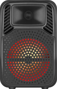 Defender - Sistem audio portabil Boomer 10