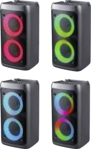 Defender - Sistem audio portabil Boomer 20