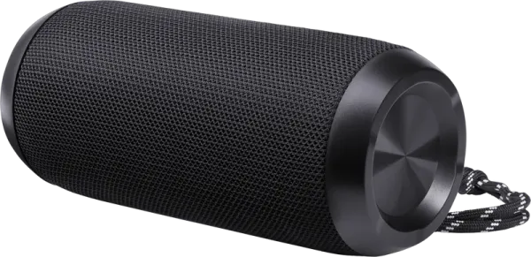 Defender - Sistem audio portabil Enjoy S100